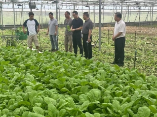 自治区农业农村部门联合市场监管部门开展专项检查，确保国庆、中秋期间食用农产品质量安全