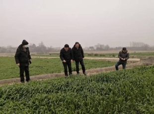 太湖县农技人员服务多样化，引导农民科学、有序春耕备耕