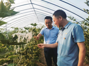 扎根基层干实事 驻村帮扶促振兴——宿州市灵璧县渔沟镇郑楼村驻村工作队纪实