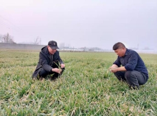 兰陵县农业农村局组织开展“科技壮苗”专项行动