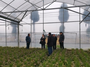 市农技中心到太湖、潜山开展防灾减灾及安全生产工作