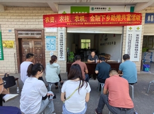 农技专家进村入户开展“农技、农资、农机下乡助推共富”技术培训